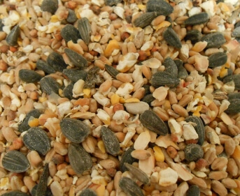 Céréales diverses pour la ferme mélangées dans le mélangeur mixte
