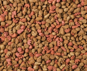 Croquettes pour chien transférées par la vanne bidirectionnelle EGRETIER