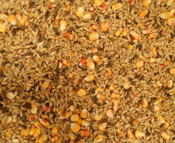 Céréales, mélange pour volailles stockés en silos et/ou transférés par la vanne bidirectionnelle