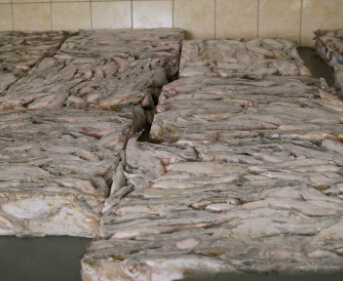 Blocs de poisson congelés