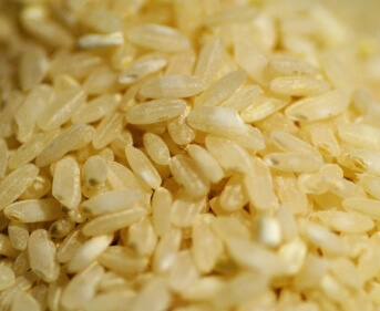 Grains de riz transférés dans la vanne bidirectionnelle Egretier
